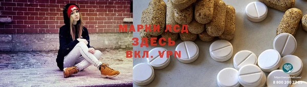 ПСИЛОЦИБИНОВЫЕ ГРИБЫ Белоозёрский