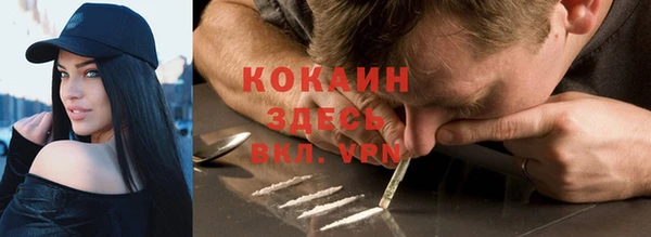 ПСИЛОЦИБИНОВЫЕ ГРИБЫ Белоозёрский