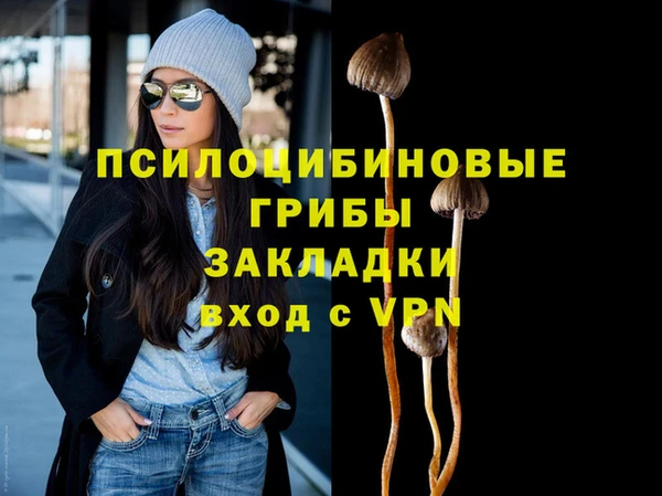 ПСИЛОЦИБИНОВЫЕ ГРИБЫ Белоозёрский
