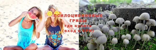 ПСИЛОЦИБИНОВЫЕ ГРИБЫ Белоозёрский